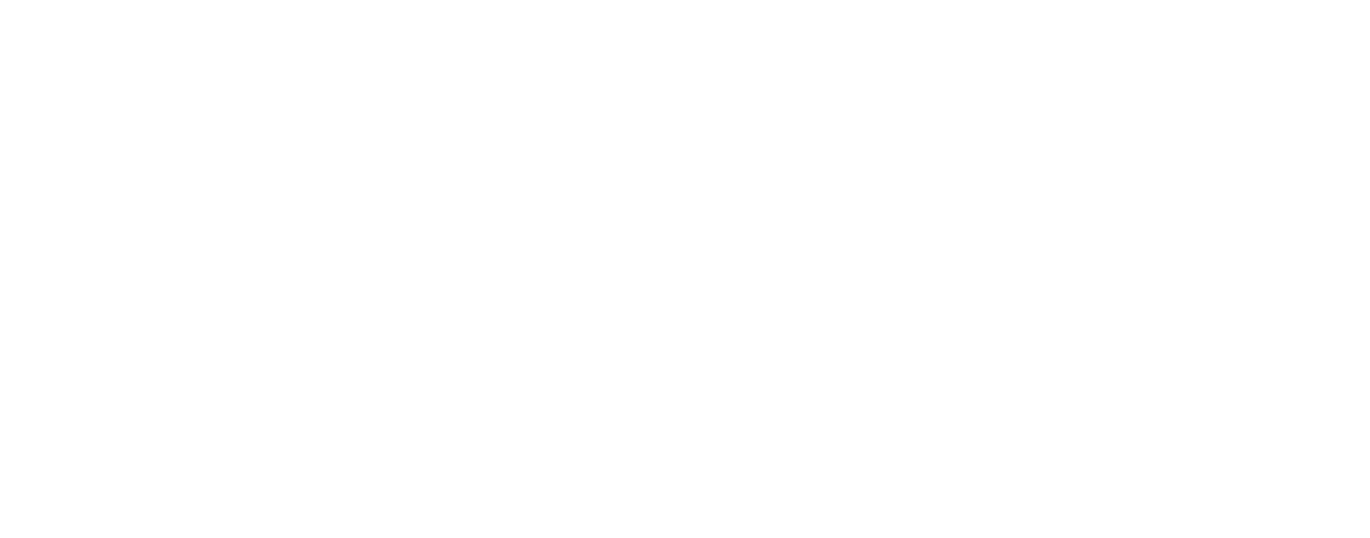 Nooba Logo